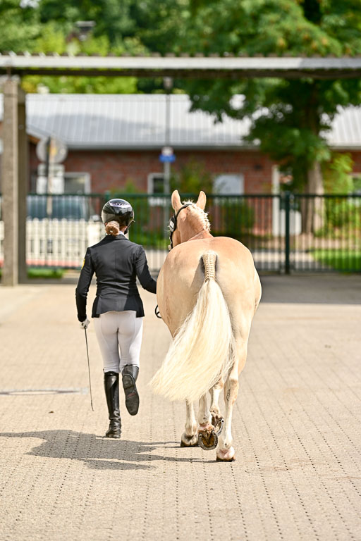 Bundesnachwuchschampionat Vielseitigkeit 2025 | 08082025 Vormustern Ponys_117 