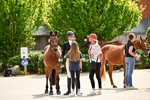 Bundesnachwuchschampionat Vielseitigkeit 2025 | 08082025 Vormustern Ponys_178 