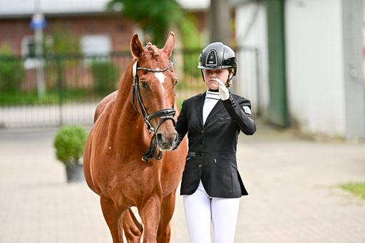 Bundesnachwuchschampionat Vielseitigkeit 2025 | 08082025 Vormustern Ponys_197 