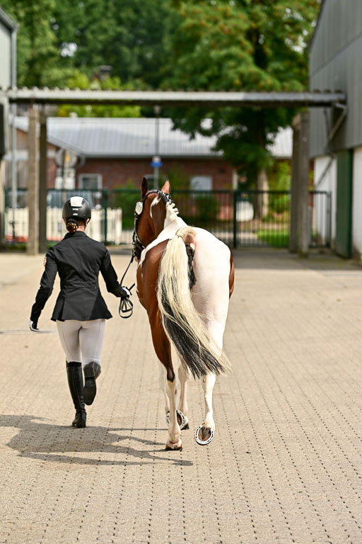Bundesnachwuchschampionat Vielseitigkeit 2025 | 08082025 Vormustern Ponys_201 