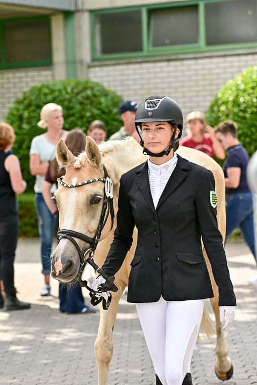 Bundesnachwuchschampionat Vielseitigkeit 2025 | 08082025 Vormustern Ponys_248 