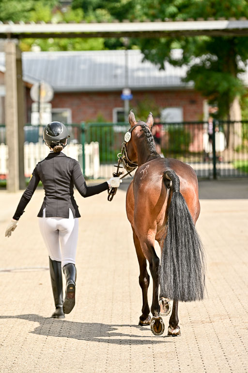 08082025-Vormustern-Ponys_316.jpg