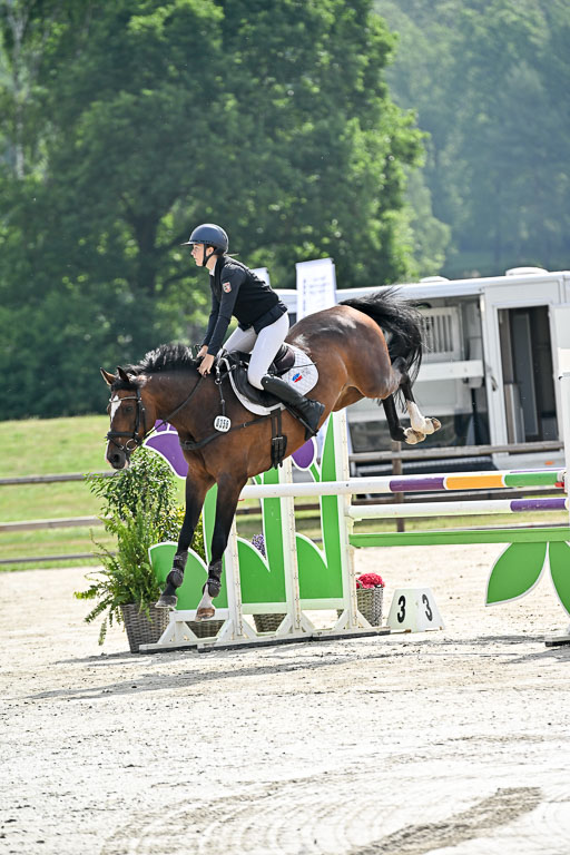  | 29062025 Springen CCI2 L _004 