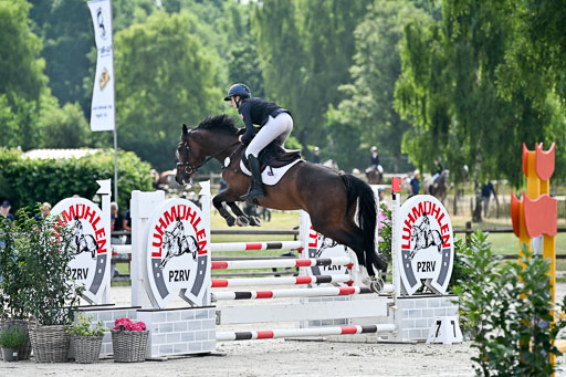  | 29062025 Springen CCI2 L _008 