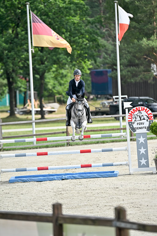  | 29062025 Springen CCI2 L _009 