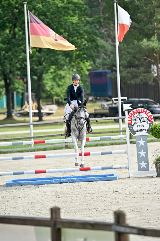  | 29062025 Springen CCI2 L _010 