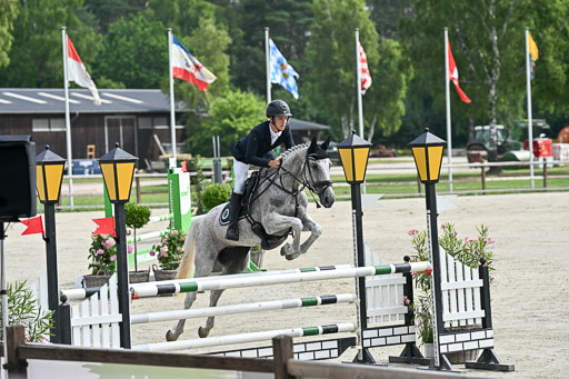  | 29062025 Springen CCI2 L _011 