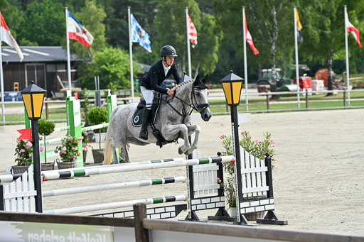  | 29062025 Springen CCI2 L _012 