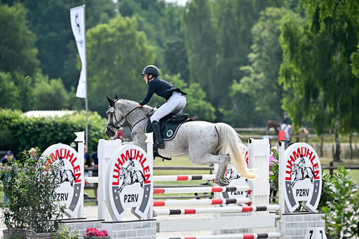  | 29062025 Springen CCI2 L _014 