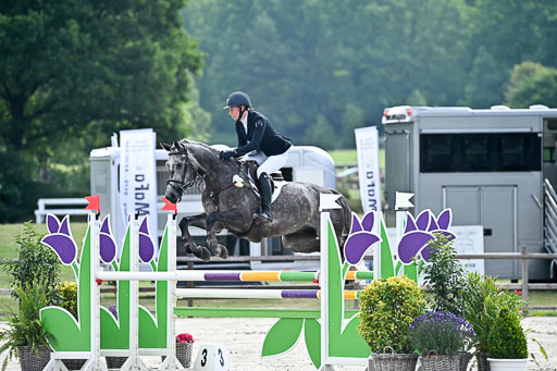  | 29062025 Springen CCI2 L _016 