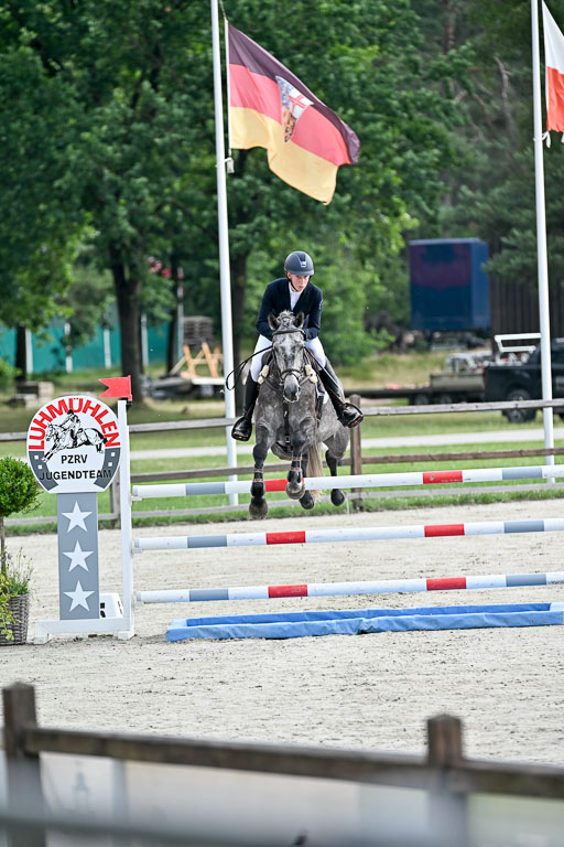  | 29062025 Springen CCI2 L _017 