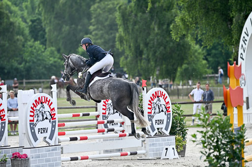  | 29062025 Springen CCI2 L _020 