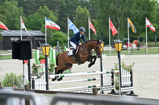  | 29062025 Springen CCI2 L _029 