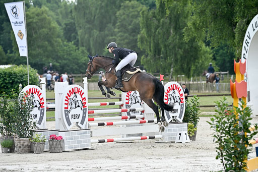  | 29062025 Springen CCI2 L _034 