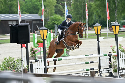  | 29062025 Springen CCI2 L _035 