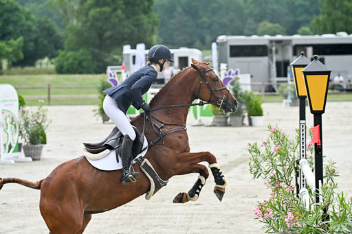  | 29062025 Springen CCI2 L _038 