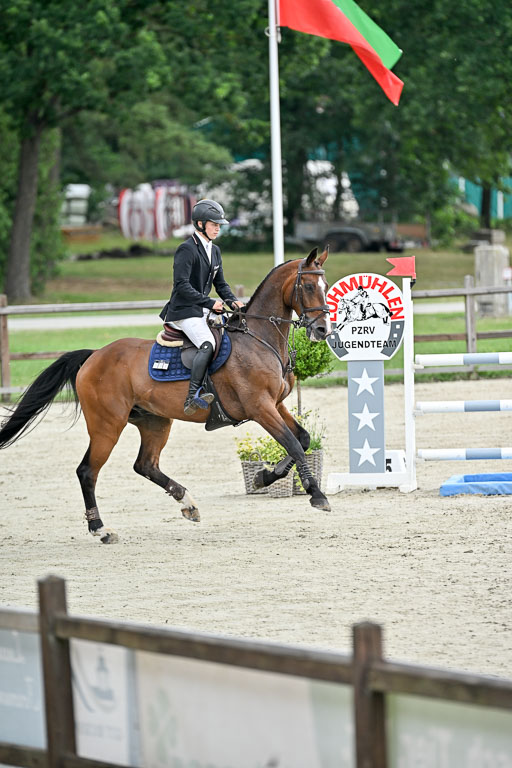  | 29062025 Springen CCI2 L _039 