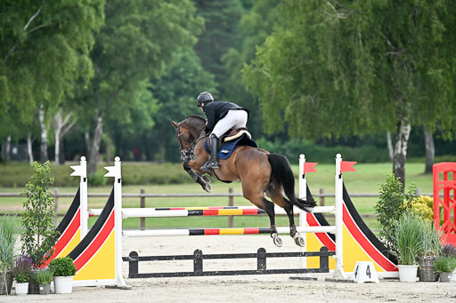  | 29062025 Springen CCI2 L _041 