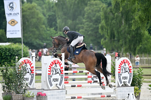  | 29062025 Springen CCI2 L _046 