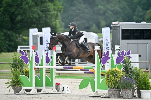  | 29062025 Springen CCI2 L _054 