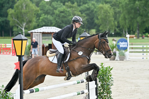  | 29062025 Springen CCI2 L _065 