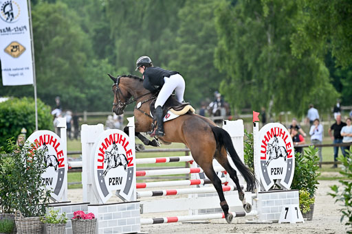  | 29062025 Springen CCI2 L _066 