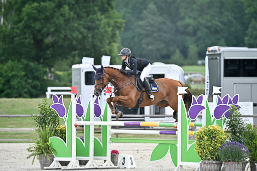  | 29062025 Springen CCI2 L _069 