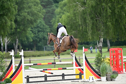  | 29062025 Springen CCI2 L _078 