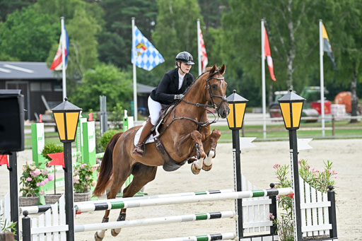  | 29062025 Springen CCI2 L _083 