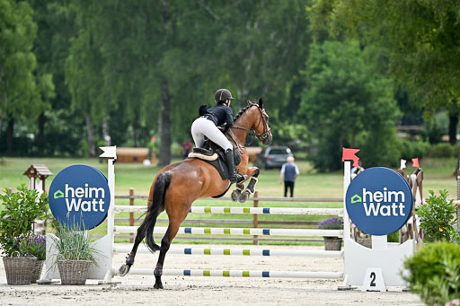  | 29062025 Springen CCI2 L _086 