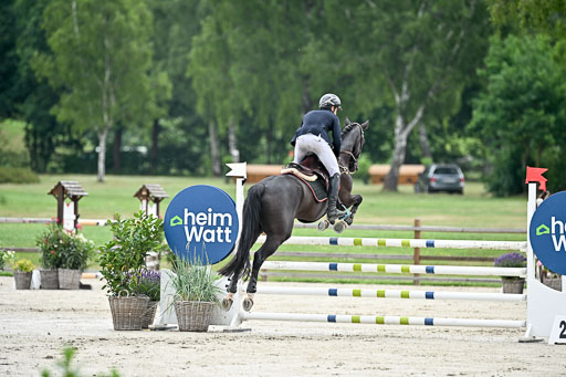  | 29062025 Springen CCI2 L _094 