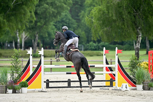  | 29062025 Springen CCI2 L _096 