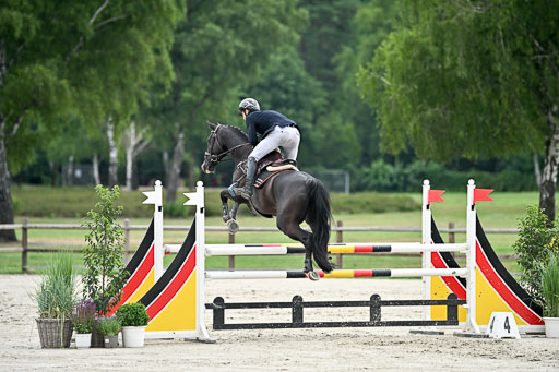  | 29062025 Springen CCI2 L _097 