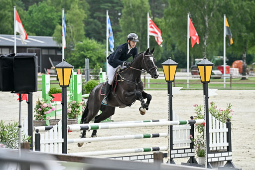  | 29062025 Springen CCI2 L _099 