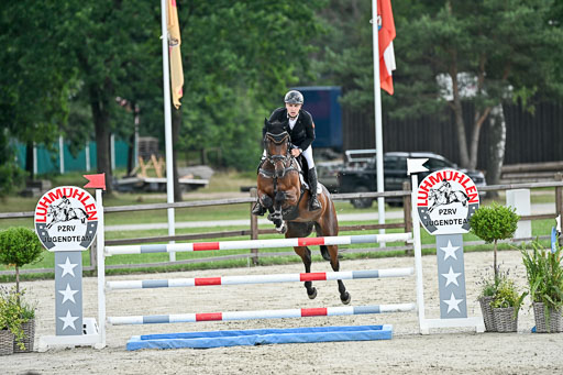  | 29062025 Springen CCI2 L _111 