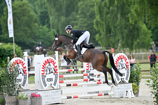  | 29062025 Springen CCI2 L _116 