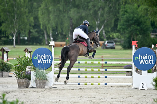  | 29062025 Springen CCI2 L _117 