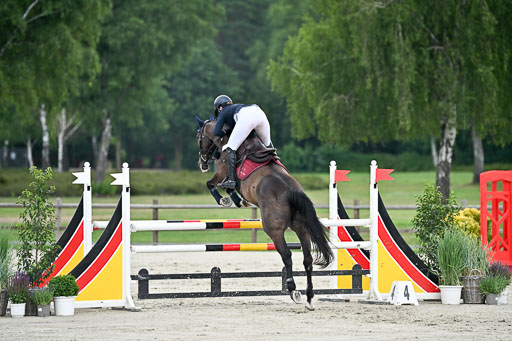  | 29062025 Springen CCI2 L _118 