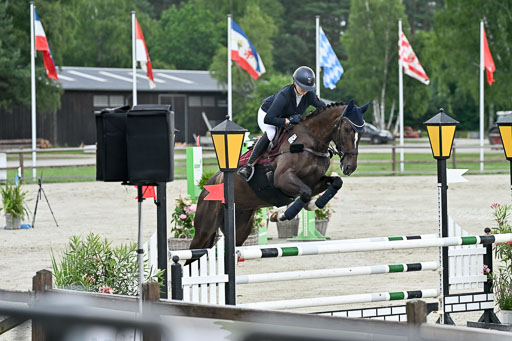  | 29062025 Springen CCI2 L _120 