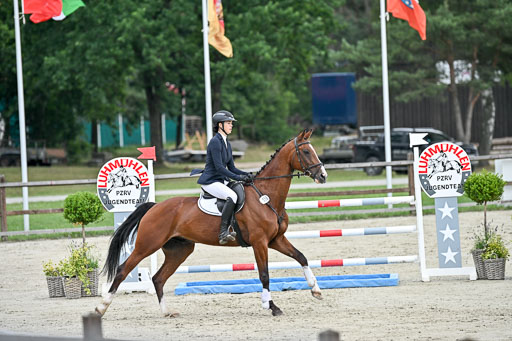  | 29062025 Springen CCI2 L _126 