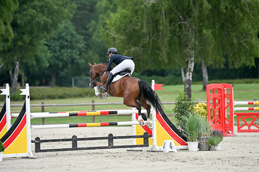  | 29062025 Springen CCI2 L _128 