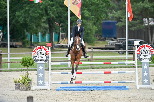  | 29062025 Springen CCI2 L _130 