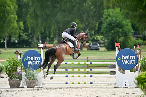  | 29062025 Springen CCI2 L _133 