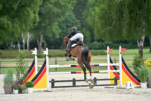  | 29062025 Springen CCI2 L _135 