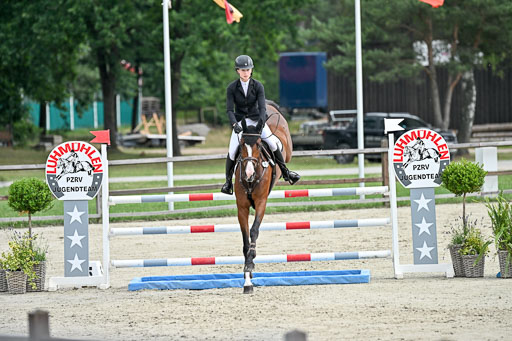  | 29062025 Springen CCI2 L _136 