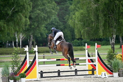  | 29062025 Springen CCI2 L _142 