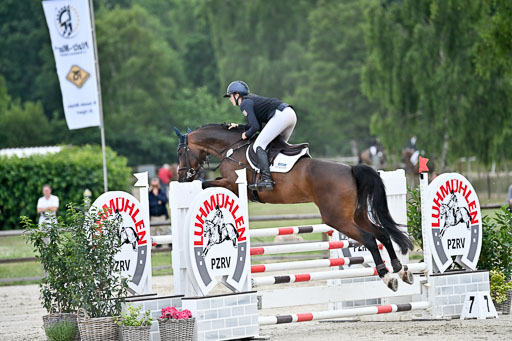  | 29062025 Springen CCI2 L _146 