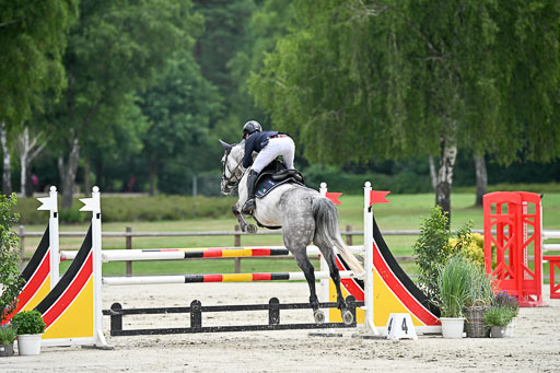  | 29062025 Springen CCI2 L _151 