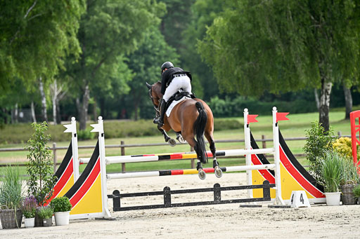  | 29062025 Springen CCI2 L _157 