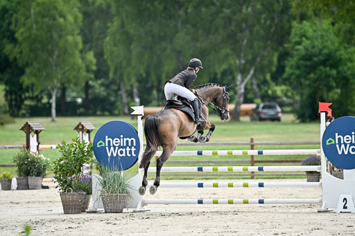  | 29062025 Springen CCI2 L _172 